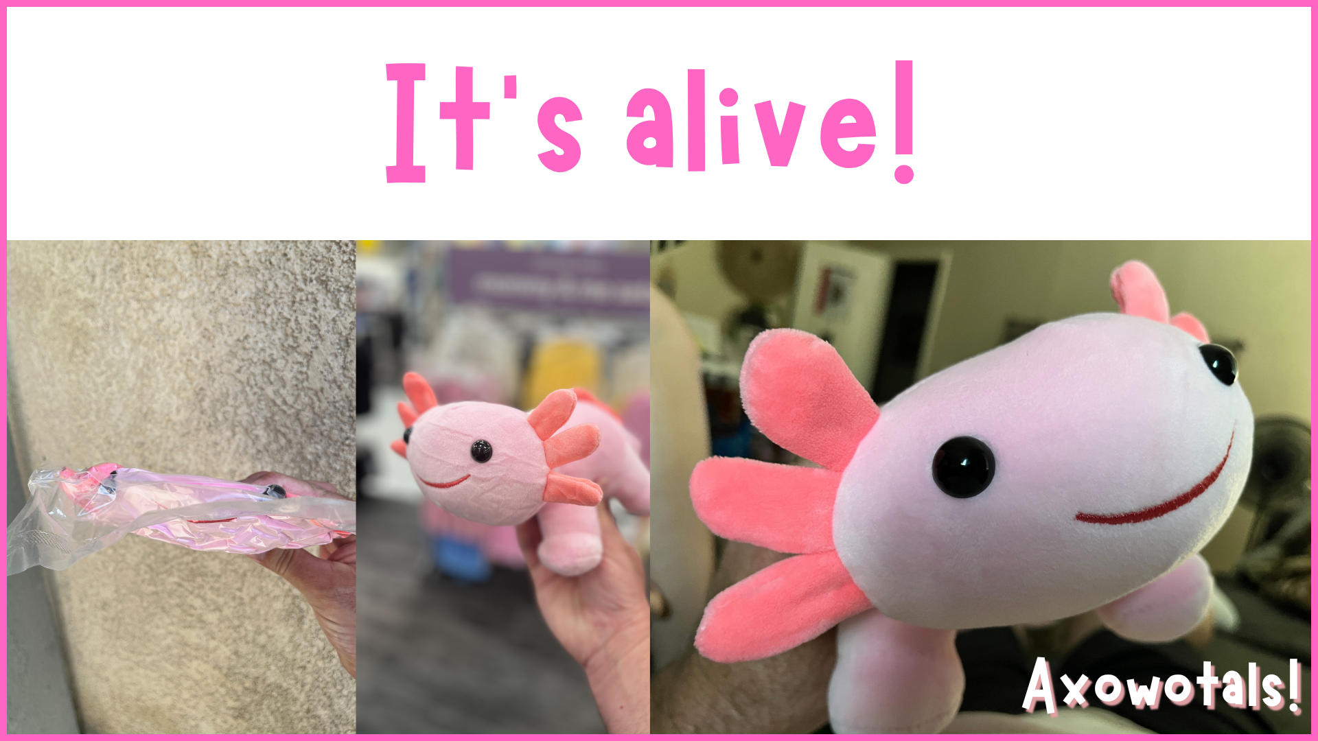 How to Fluff Your Axowotals Plushie (and Keep it Looking Great!)