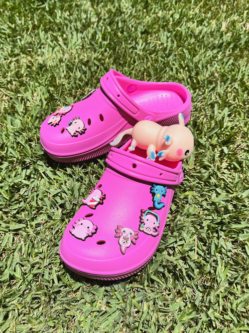 9-Piece Axolotl Shoe Charm Set | Cute Kawaii PVC Charms for Crocs®, Clogs & Wristbands